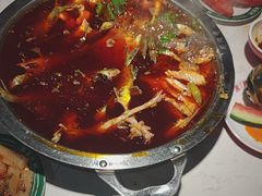 -蜀滋香鲜鱼美蛙火锅(339店)