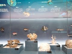 -中国湿地博物馆