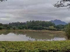 -福建鲤鱼洲酒店