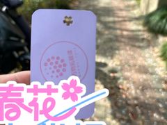 -新江湾城公园