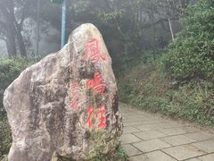 -梧桐山风景名胜区