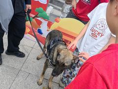 -中南南通体育会展中心