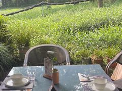 -野蔓果·山野菜(西湖景区·龙井茶田店)