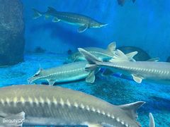 -多彩贵州城极地海洋世界