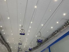 -哈尔滨热雪奇迹