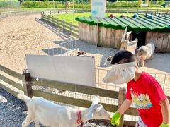 -前小桔亲子创意农场·草莓采摘·露营烧烤