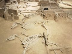 -洛阳周王城天子驾六博物馆