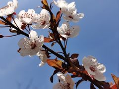 -苏州河梦清园环保主题公园