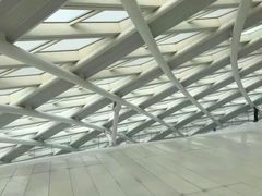 -凤凰中心