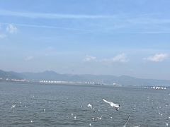 -海埂大坝