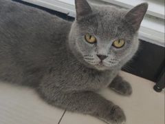 -平行世界·猫咖(首经贸店)
