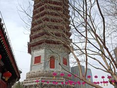-西海子公园