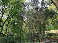 -WeLope紫金山探险公园