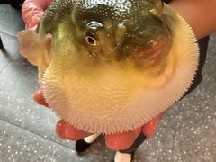 -永安鱼庄·镇江菜(东吴路店)