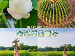 -夏河溪乡野公园