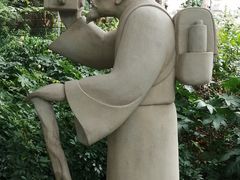 -金花茶公园