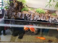 -马凯餐厅(长椿街店)