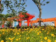 -上海山野camping·户外天幕烧烤·团建拓展营地