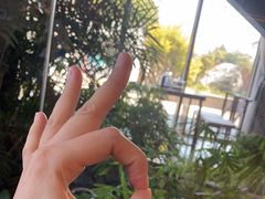 -绿雪芽白茶(浙大华家池校区凯旋路店)