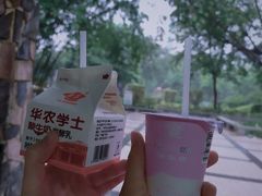 -晓港公园