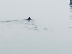 -南京工程学院(江宁校区)