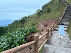 -天龙顶山地公园