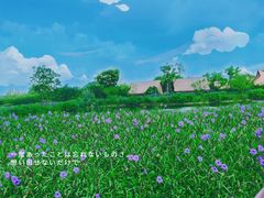 -良渚古城遗址公园