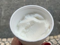 -洪馨椰子