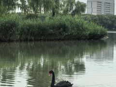 -东华大学(松江校区)