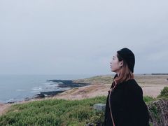 -企鹅岛