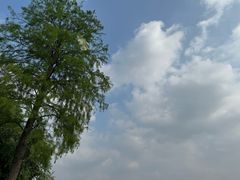 -东湖落雁景区