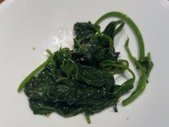 -觀芷隐轩