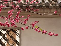 -墨池公园
