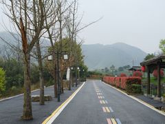 -帐篷客·溪龙茶谷度假酒店