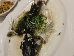 -稻香酒家·35年老字号(侨光店)