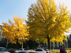 -北京邮电大学