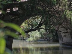 -上海醉白池公园
