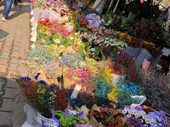 -三圣花乡旅游区