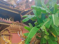 -西双版纳总佛寺