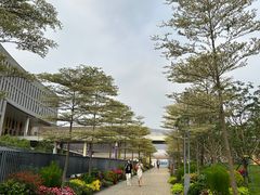 -深圳仙湖植物园