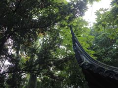 -秋霞圃