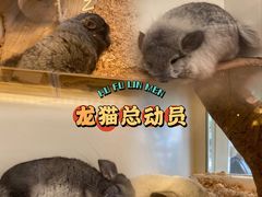 -龙猫仔乐园(惠福东路店)