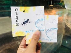 -上海大自然野生昆虫馆(东方明珠·爬宠昆虫探索中心)