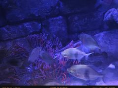 -沈阳海洋探索中心