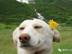 -快快(浦东新区年家浜路)