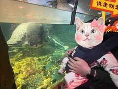 -嘉兴海底世界