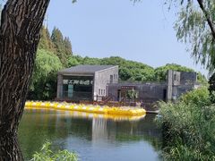 -高桥特色小吃