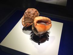 -贝壳王国博物馆