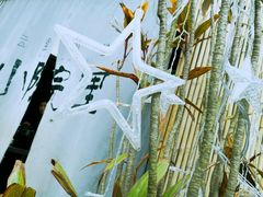 -云里小坐·小院里·团建·宴请·下午茶(三圣乡店)