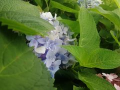 -大洋晶典(东街店)